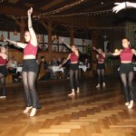 20260117 adlerball 018